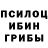 Псилоцибиновые грибы Cubensis Office Chair