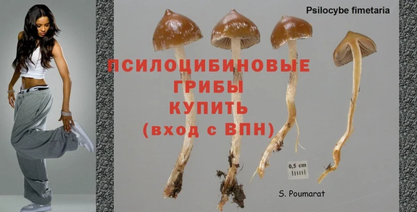 эйфоретик Алексин