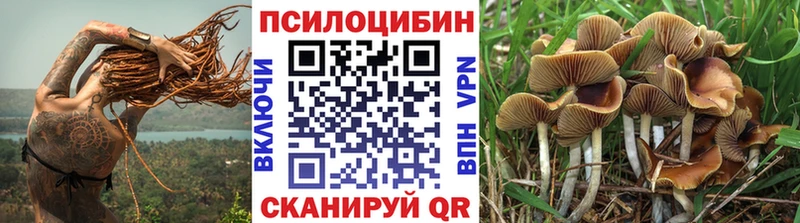 omg Новокубанск Галлюциногенные грибы MAGIC MUSHROOMS